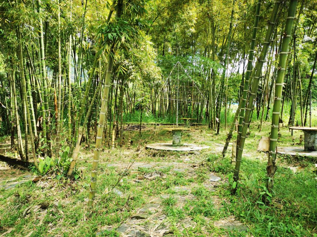 Finca En Venta - Boqueron, Ibagué