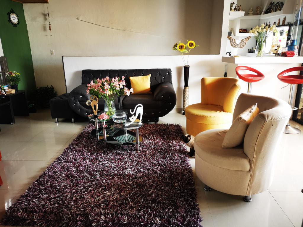 Casa En Venta - La Francia, Ibagué