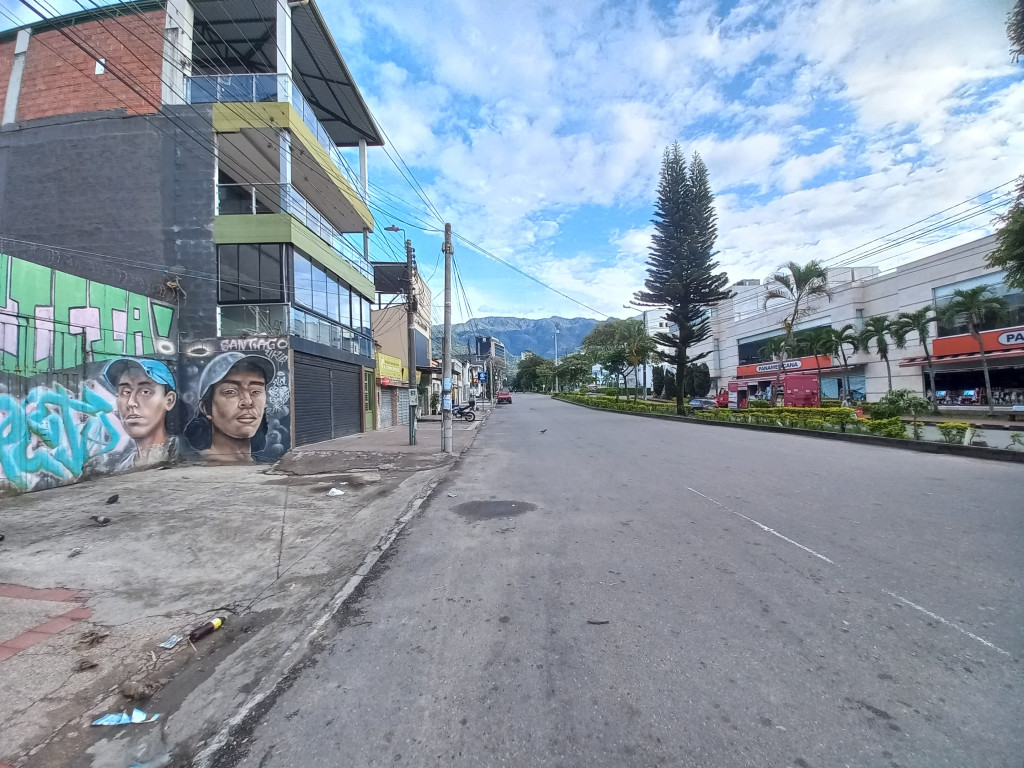 Lote En Venta - Limonar, Ibagué