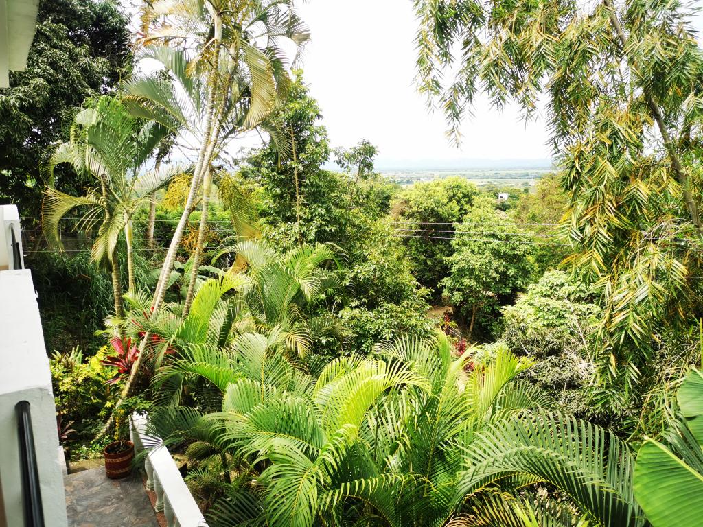 Casa Campestre En Venta - Casa Campestre En Murraposa B/El Salado, Ibagué