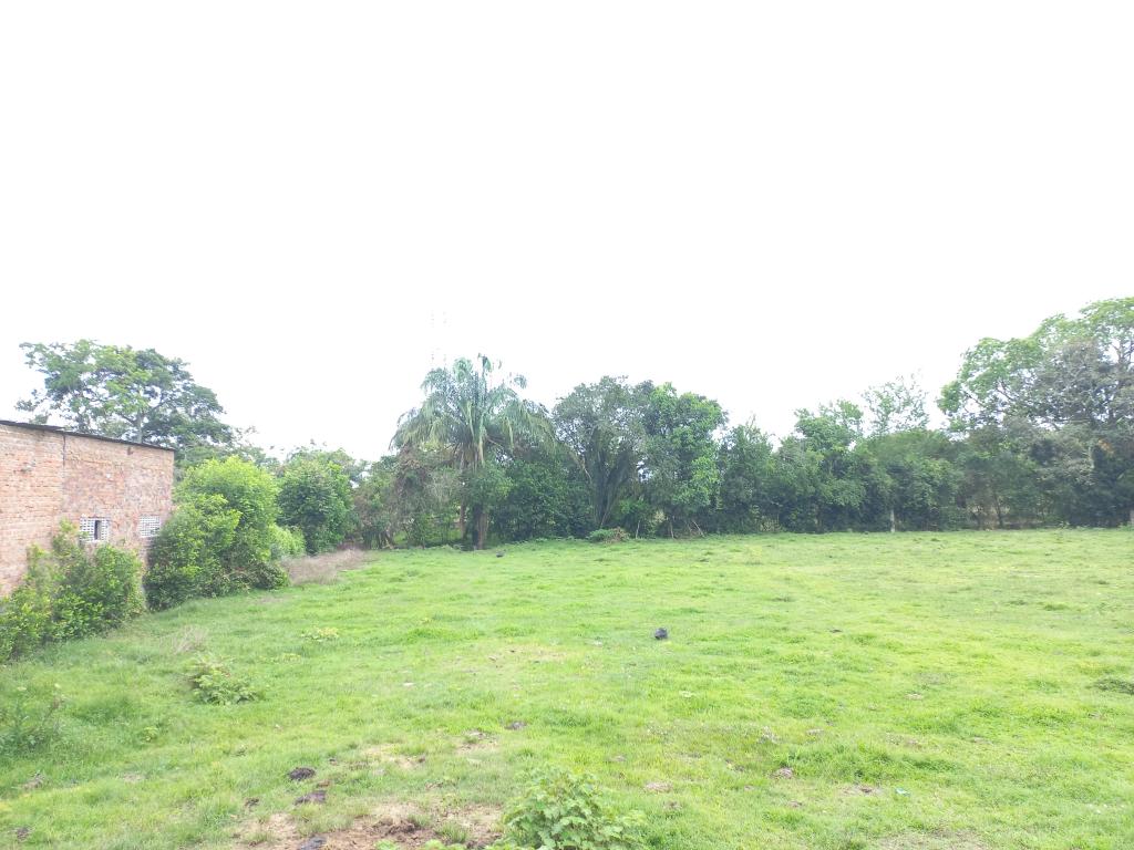 Lote En Venta - Vereda De El Pais-Salado, Ibagué