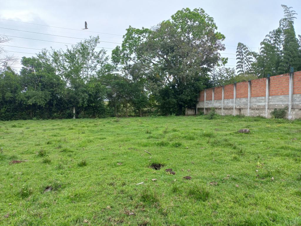 Lote En Venta - Vereda De El Pais-Salado, Ibagué
