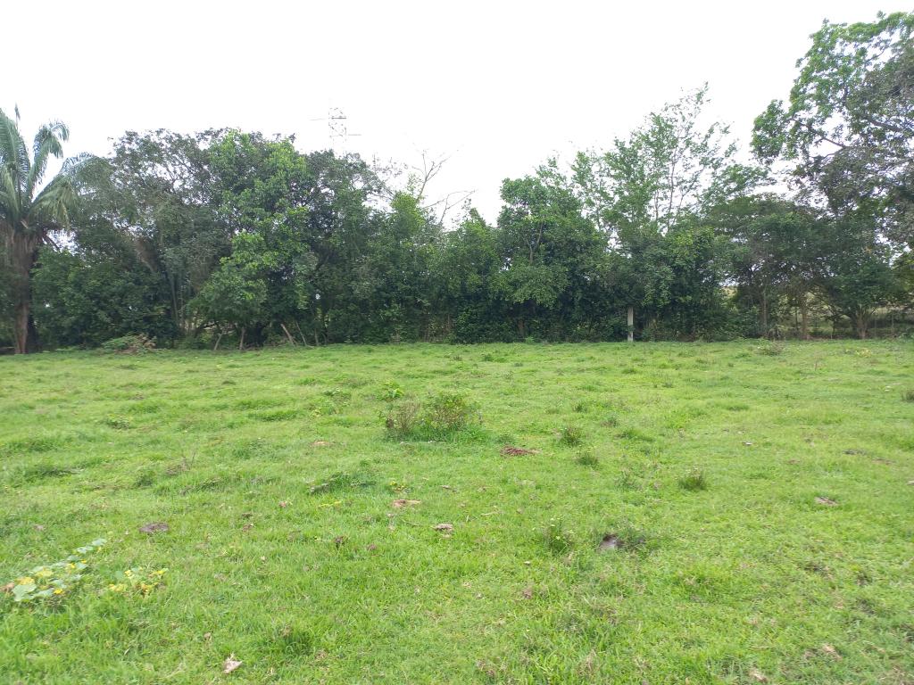 Lote En Venta - Vereda De El Pais-Salado, Ibagué