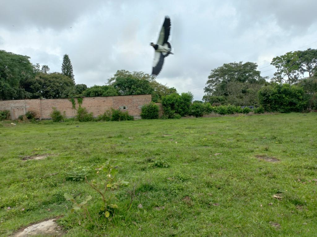 Lote En Venta - Vereda De El Pais-Salado, Ibagué