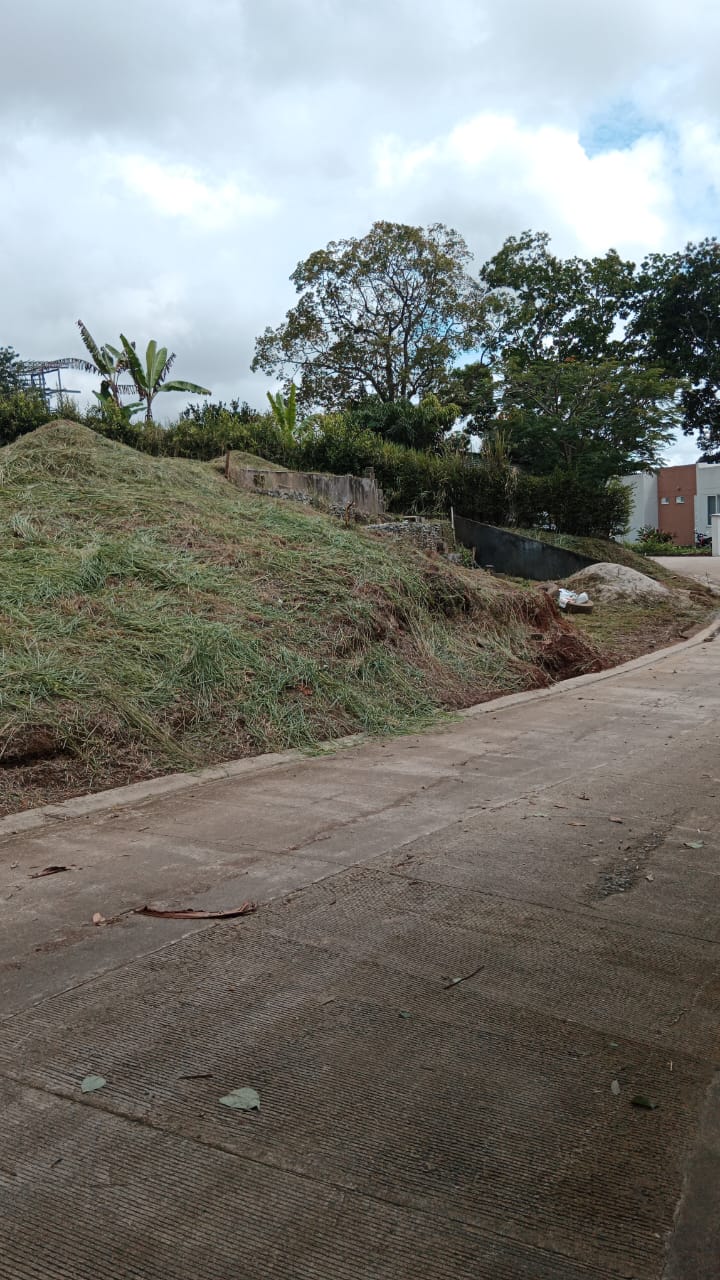 Lote En Venta - Parcelacion Agroturistica Las Juanas-Via El Totumo, Ibagué