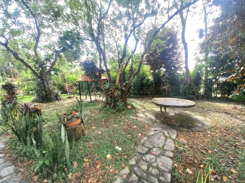 Lote En Venta - Centro Recreacional Recreacafe, Ibagué