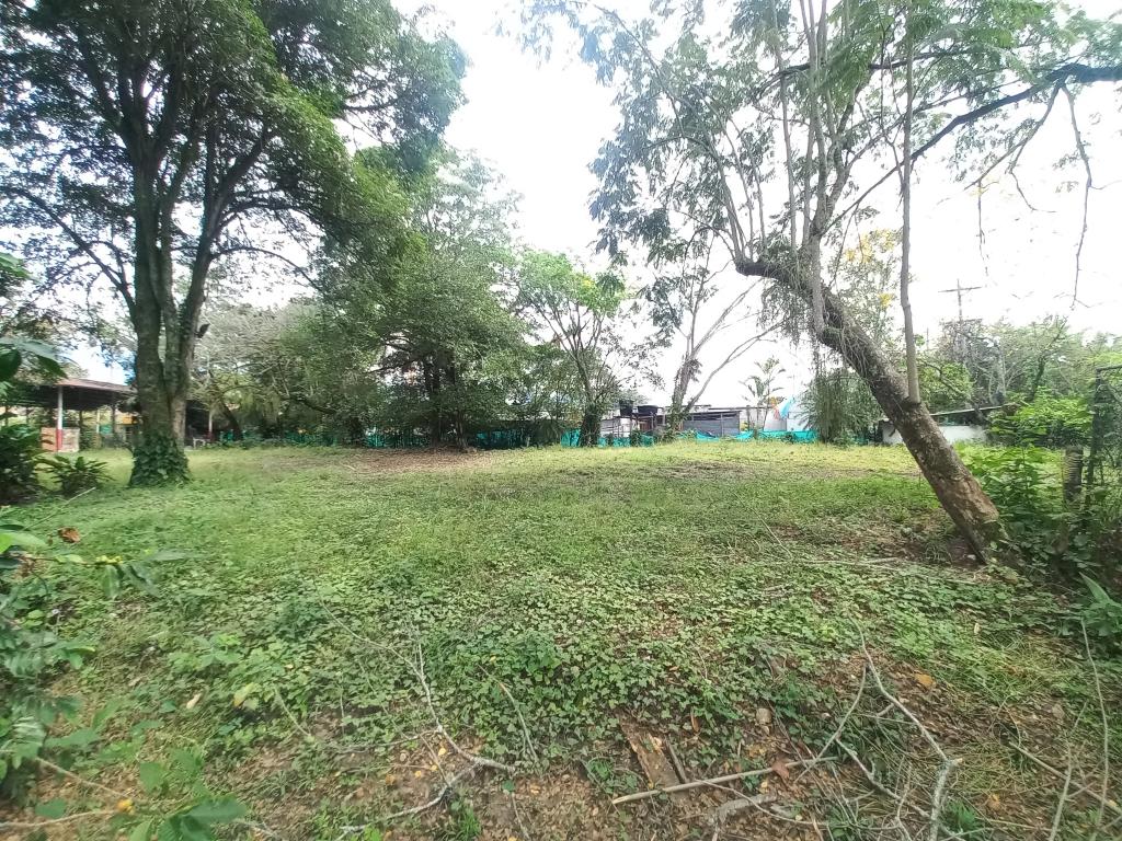 Lote En Venta - Centro Recreacional Recreacafe, Ibagué