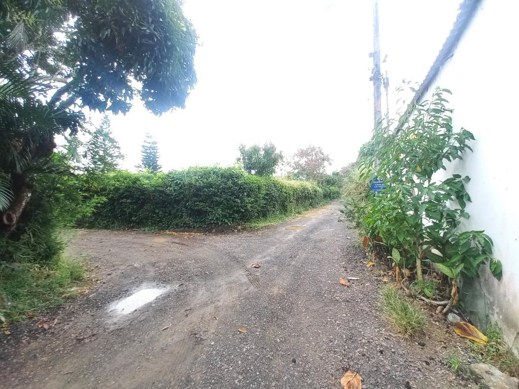 Lote En Venta - Centro Recreacional Recreacafe, Ibagué