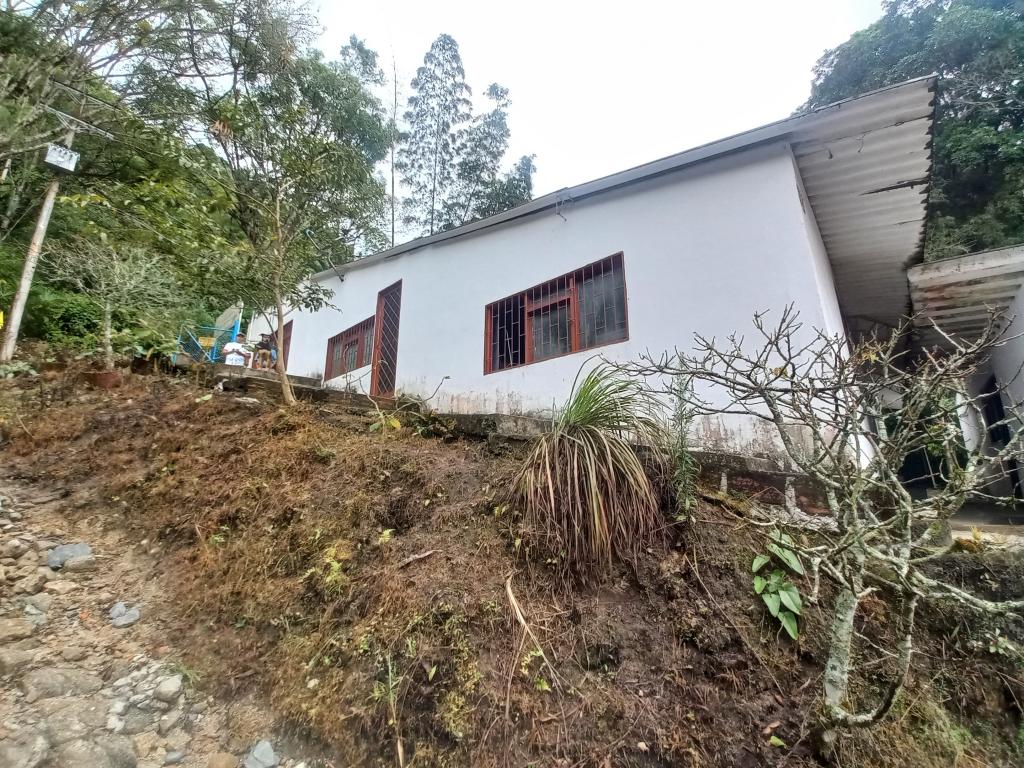 Finca En Venta - San Francisco Vereda Ancon Tesorito, Ibagué