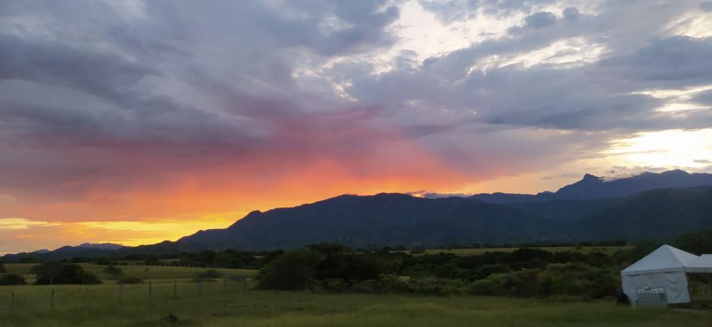 Lote En Venta - Land Stoneville, Alvarado