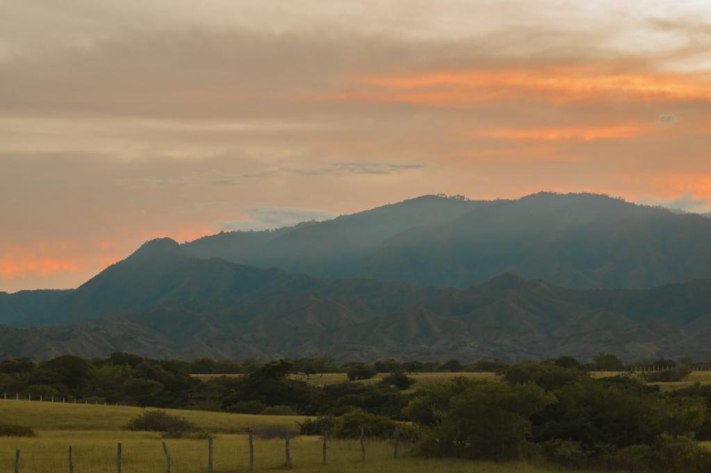 Lote En Venta - Land Stoneville, Alvarado