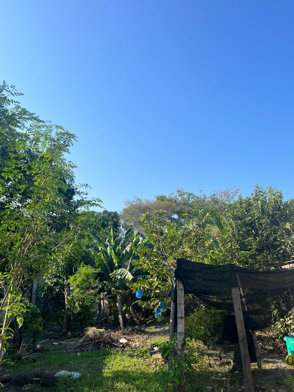 Casa En Venta - Alvarado-Tolima, Alvarado