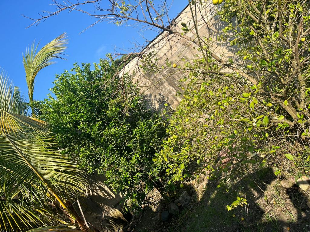 Casa En Venta - Alvarado-Tolima, Alvarado