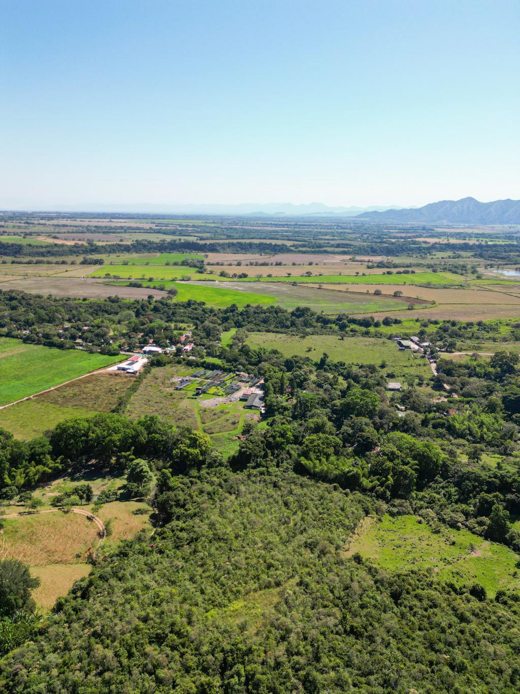 Finca En Venta - Finca La Castellana - Vereda El Cural Km 8, Ibagué