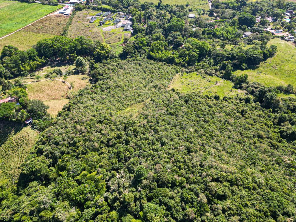 Finca En Venta - Finca La Castellana - Vereda El Cural Km 8, Ibagué