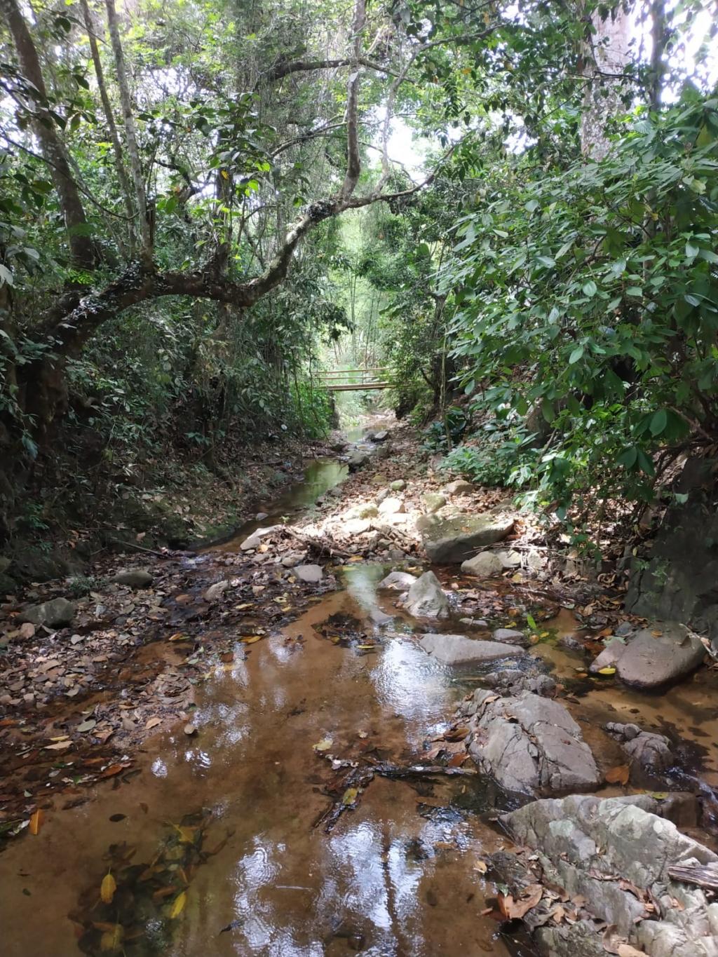 Finca En Venta - Finca La Castellana - Vereda El Cural Km 8, Ibagué