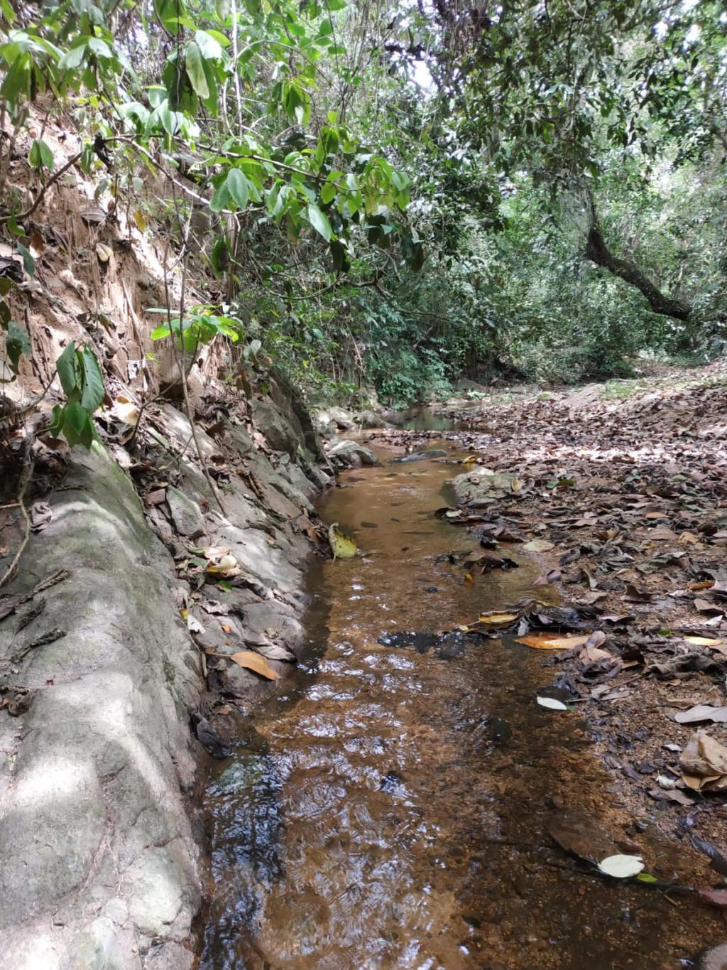 Finca En Venta - Finca La Castellana - Vereda El Cural Km 8, Ibagué