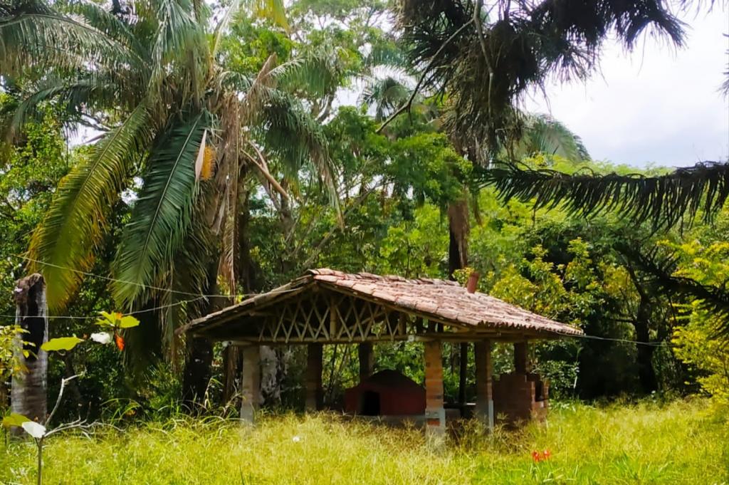 Finca En Venta - Finca La Castellana - Vereda El Cural Km 8, Ibagué