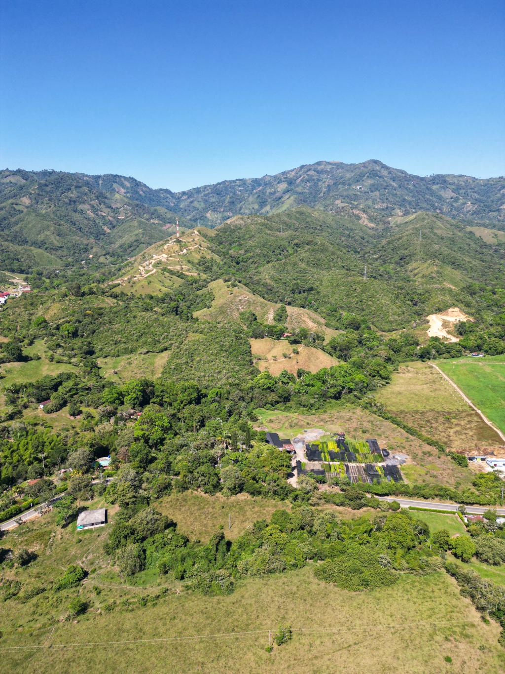 Finca En Venta - Finca La Castellana - Vereda El Cural Km 8, Ibagué