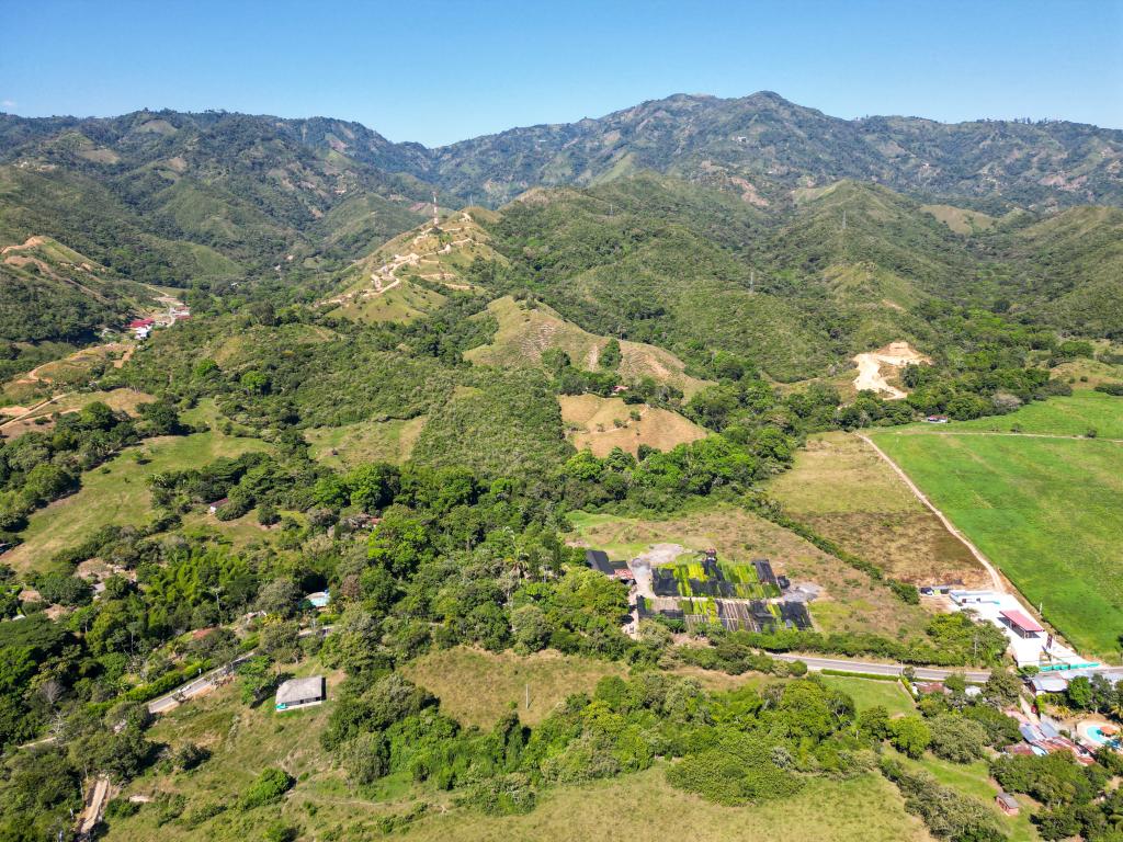 Finca En Venta - Finca La Castellana - Vereda El Cural Km 8, Ibagué