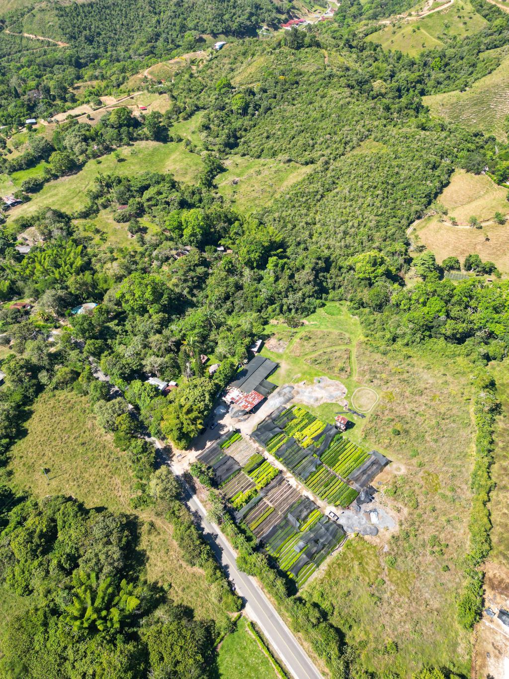 Finca En Venta - Finca La Castellana - Vereda El Cural Km 8, Ibagué