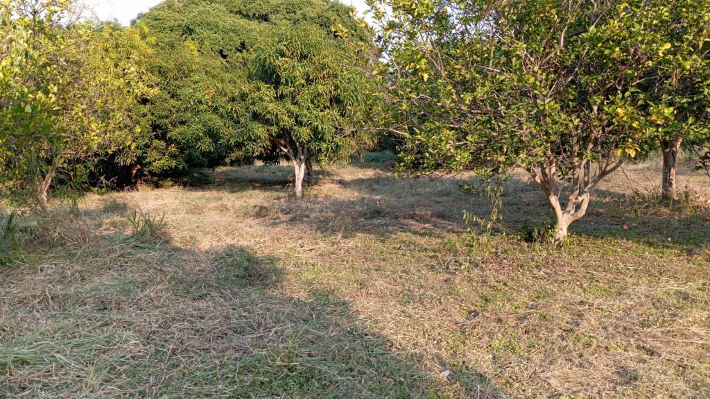 Lote En Venta - Vereda San Francisco Lote 2, El Espinal