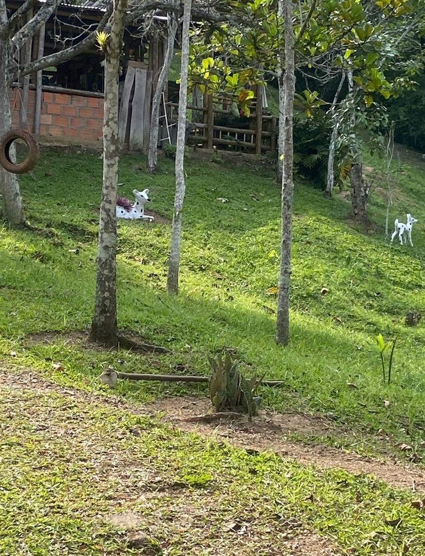 Finca En Venta - Manantiales De Antaño - Vereda Potrerito, Ibagué