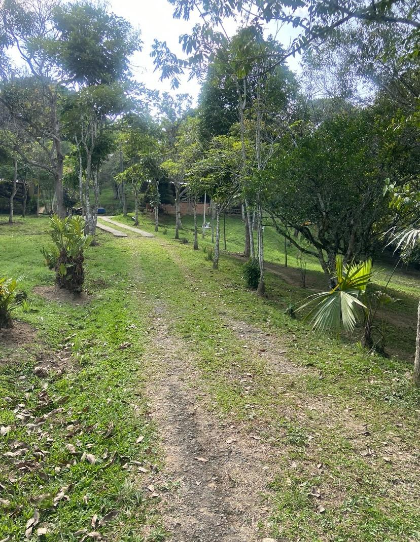 Finca En Venta - Manantiales De Antaño - Vereda Potrerito, Ibagué