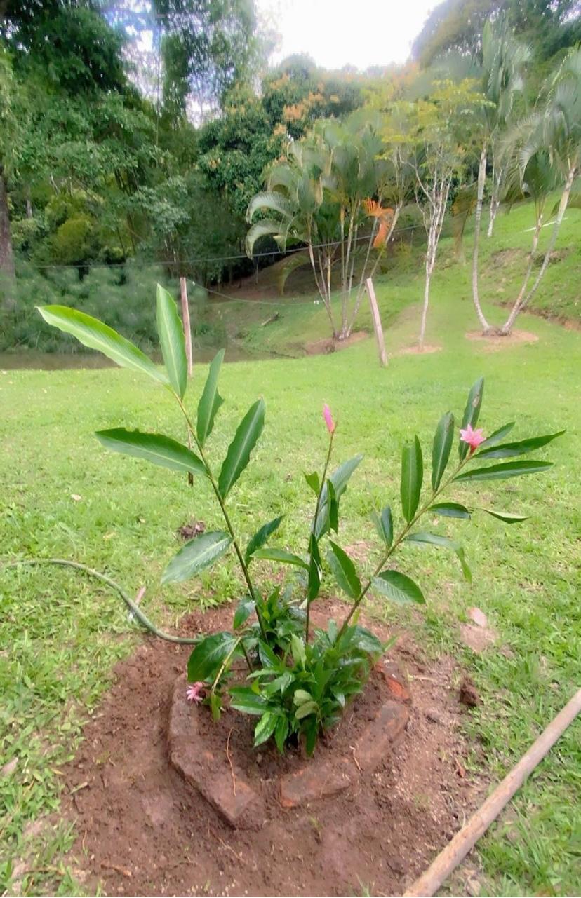 Finca En Venta - Manantiales De Antaño - Vereda Potrerito, Ibagué