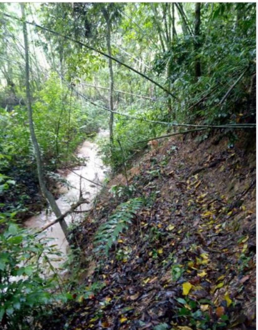 Finca En Venta - Manantiales De Antaño - Vereda Potrerito, Ibagué