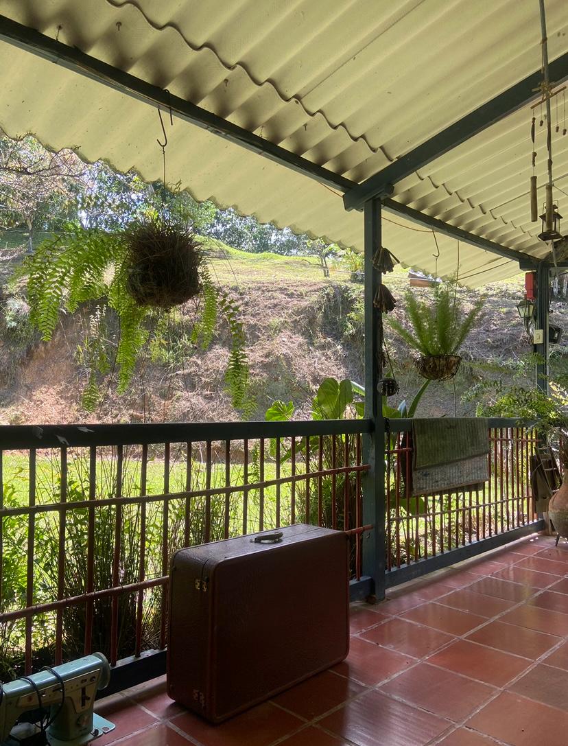 Finca En Venta - Manantiales De Antaño - Vereda Potrerito, Ibagué