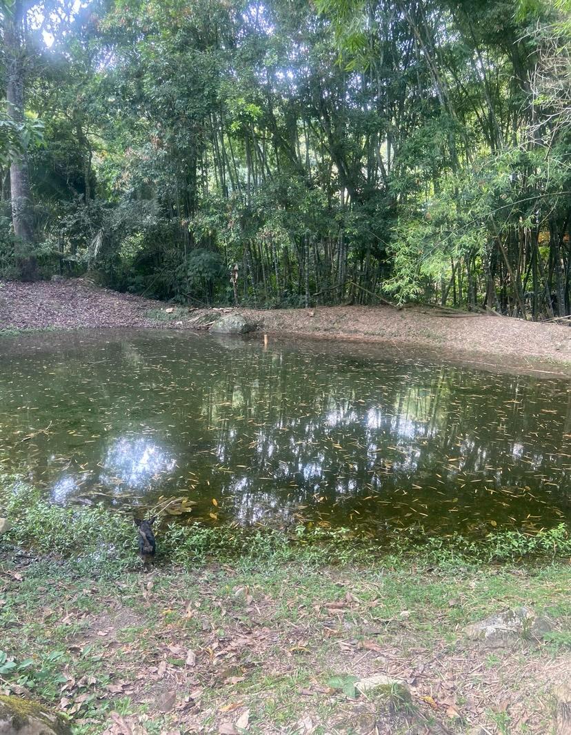 Finca En Venta - Manantiales De Antaño - Vereda Potrerito, Ibagué