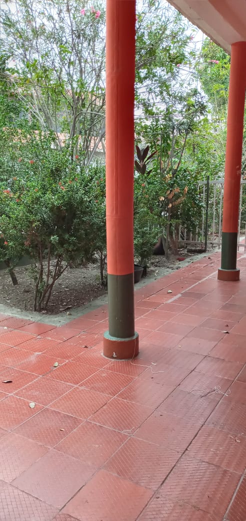 Casalotes En Venta - Guamo - Tolima, Guamo