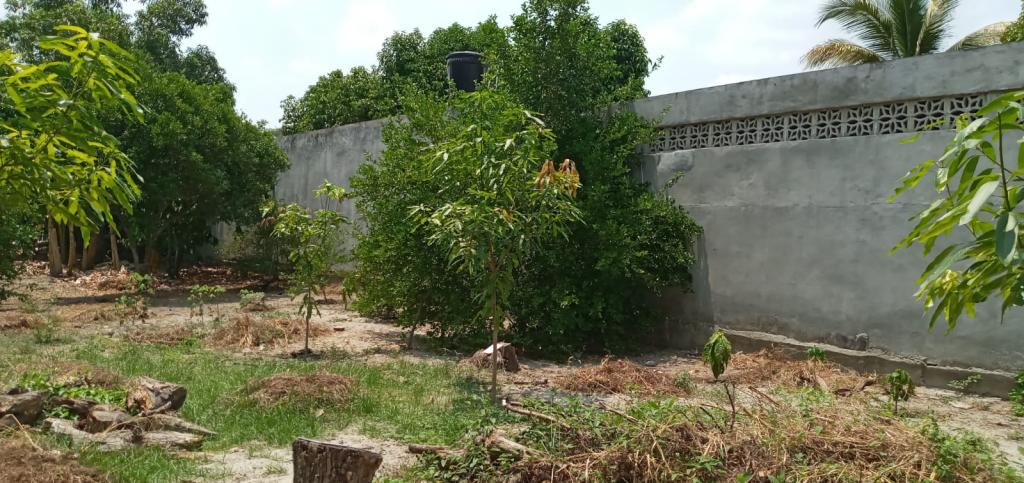 Casalotes En Venta - Guamo - Tolima, Guamo