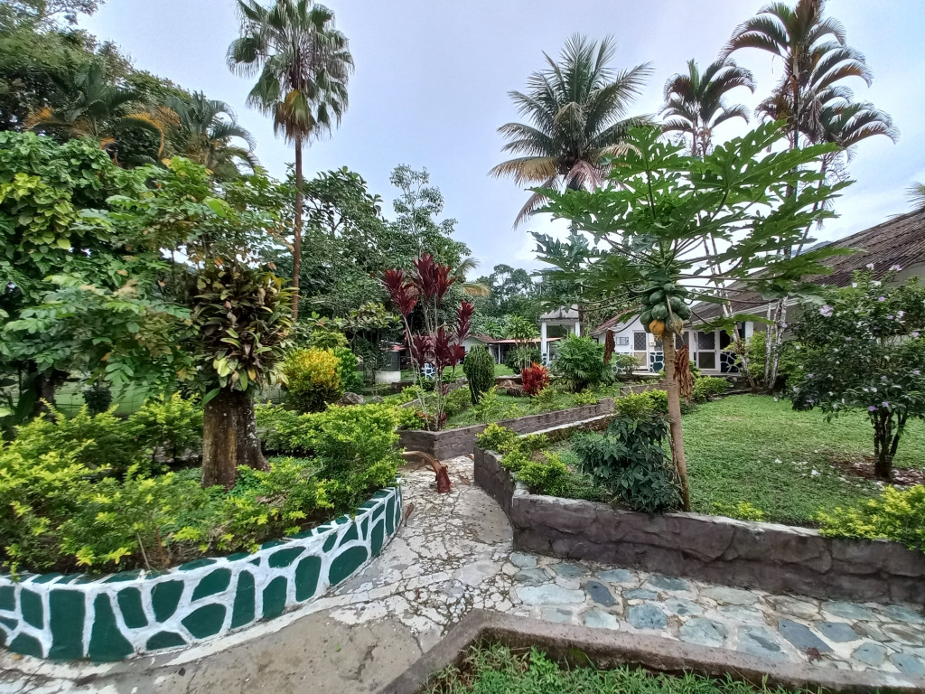 Finca En Venta - Vereda Chucuni Predio Las Flores, Ibagué