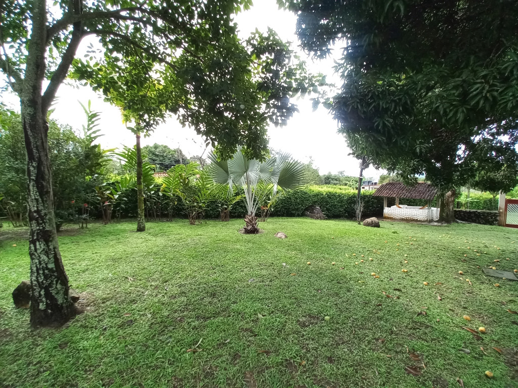Finca En Venta - Vereda Chucuni Predio Las Flores, Ibagué