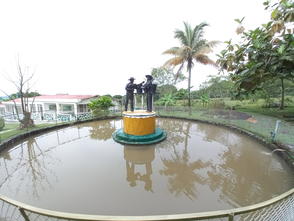Finca En Venta - Vereda Chucuni Predio Las Flores, Ibagué
