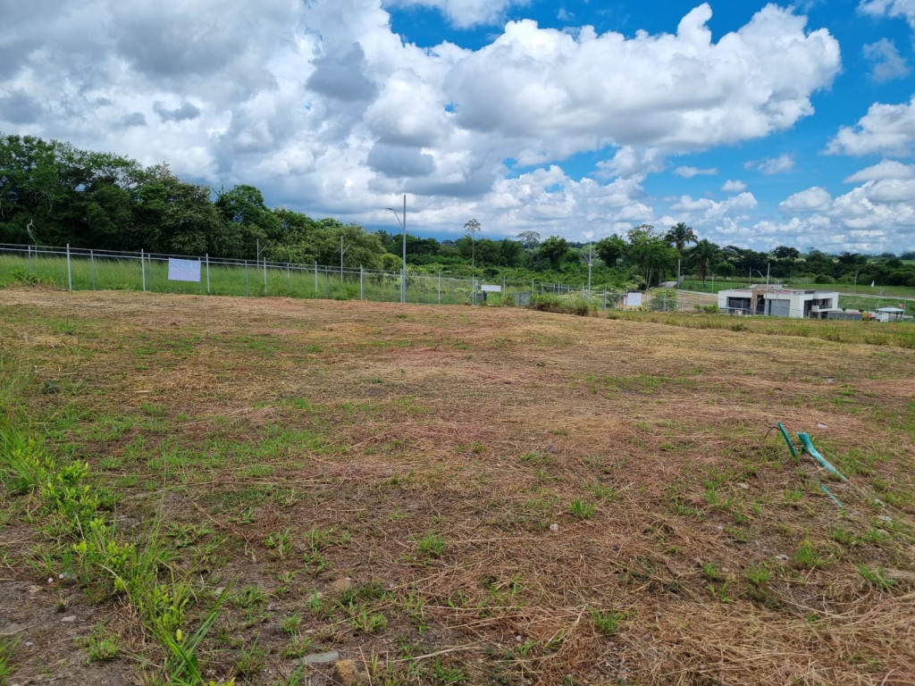 Lote En Venta - Pensilvania Centro Poblado  El Totumo San Lorenzo, Ibagué