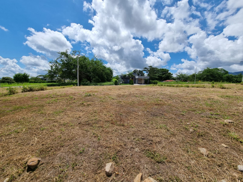 Lote En Venta - Pensilvania Centro Poblado  El Totumo San Lorenzo, Ibagué