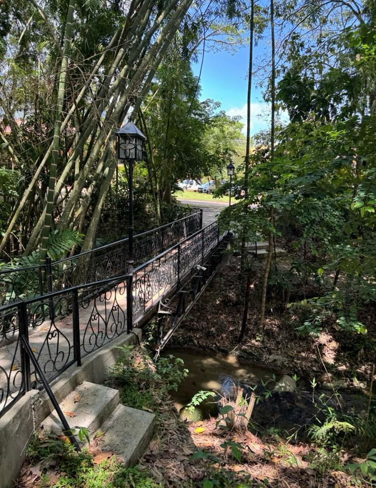 Casa En Venta - La Balsa- Vergel, Ibagué