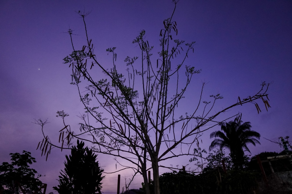 Finca En Venta - El Placer -Guamal Fraccion Rodeo, Róvira