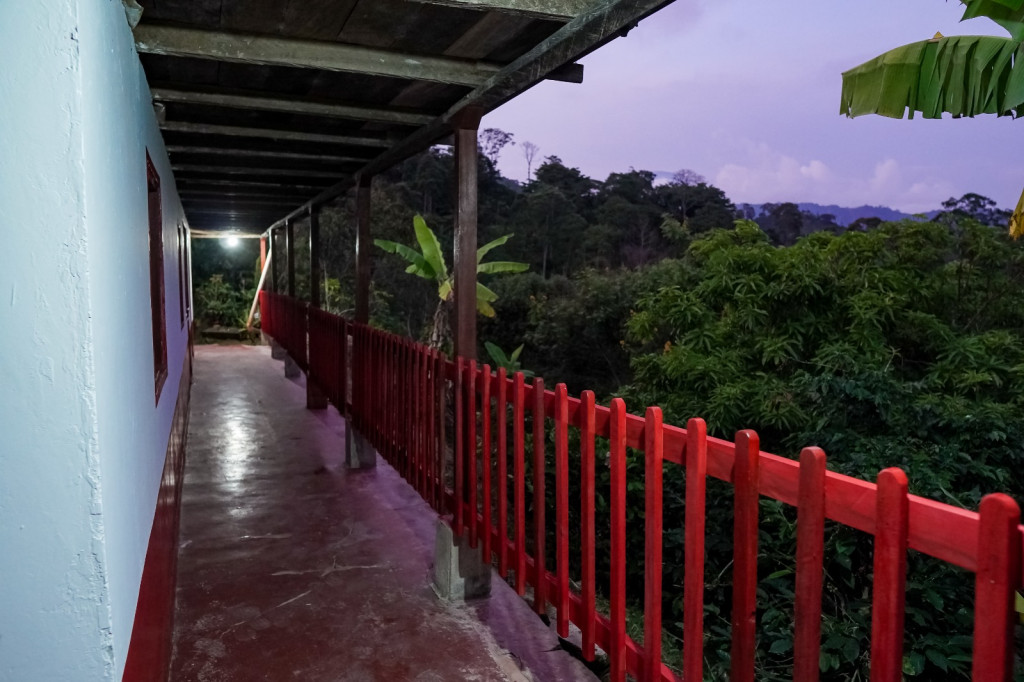 Finca En Venta - El Placer -Guamal Fraccion Rodeo, Róvira