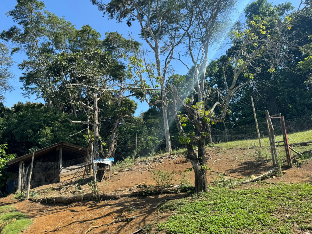 Finca En Venta - Finca La Rica, Mariquita