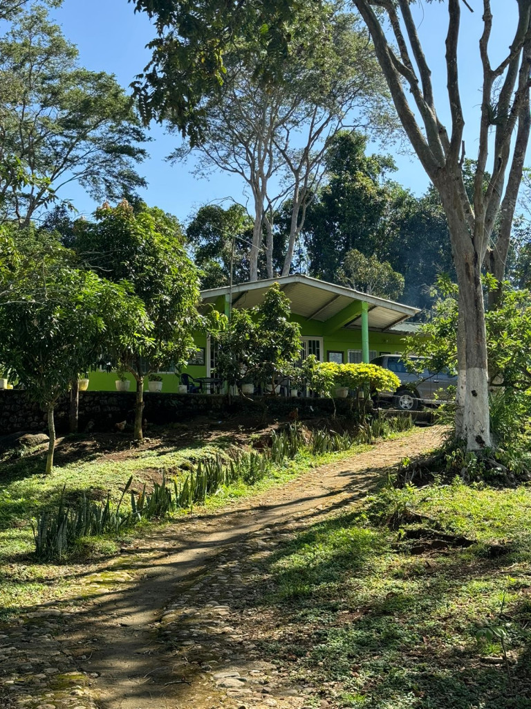 Finca En Venta - Finca La Rica, Mariquita