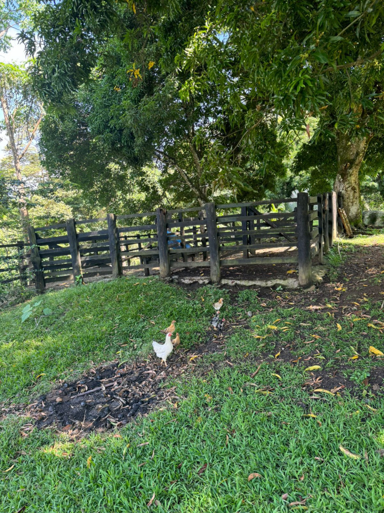 Finca En Venta - Finca La Rica, Mariquita