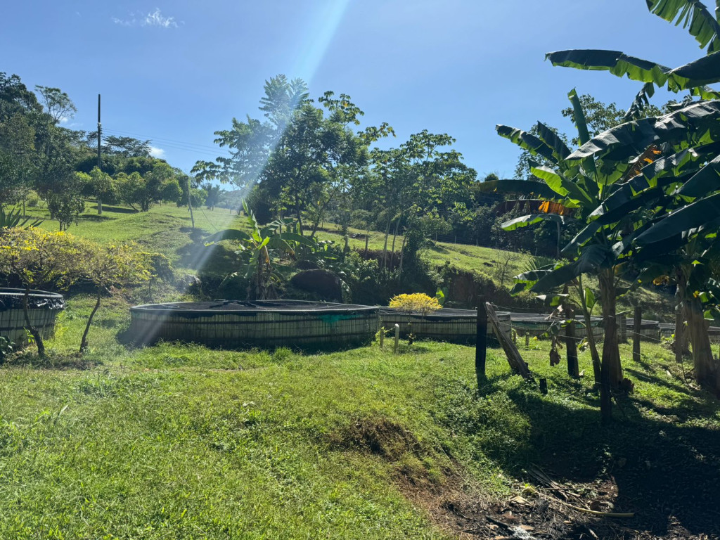 Finca En Venta - Finca La Rica, Mariquita