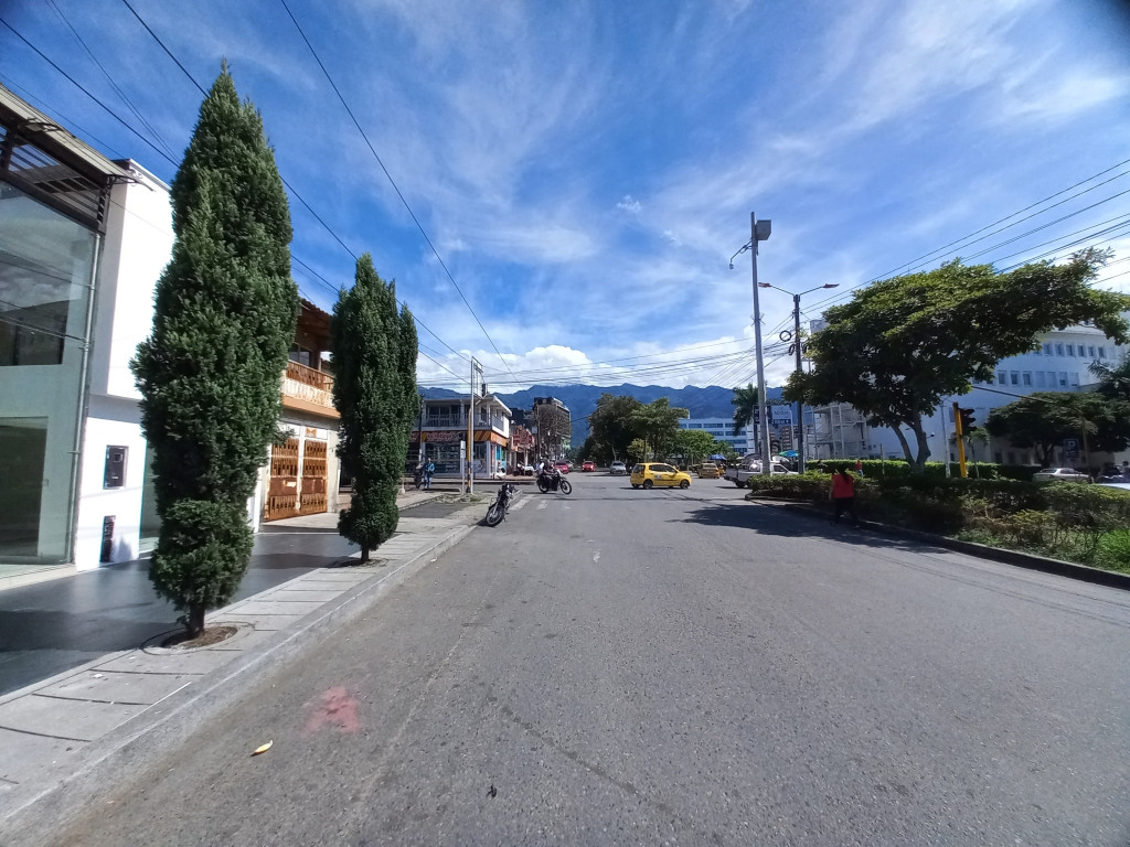 Local En Arriendo - Limonar-Calle 60 Entre 5 Y 6, Ibagué