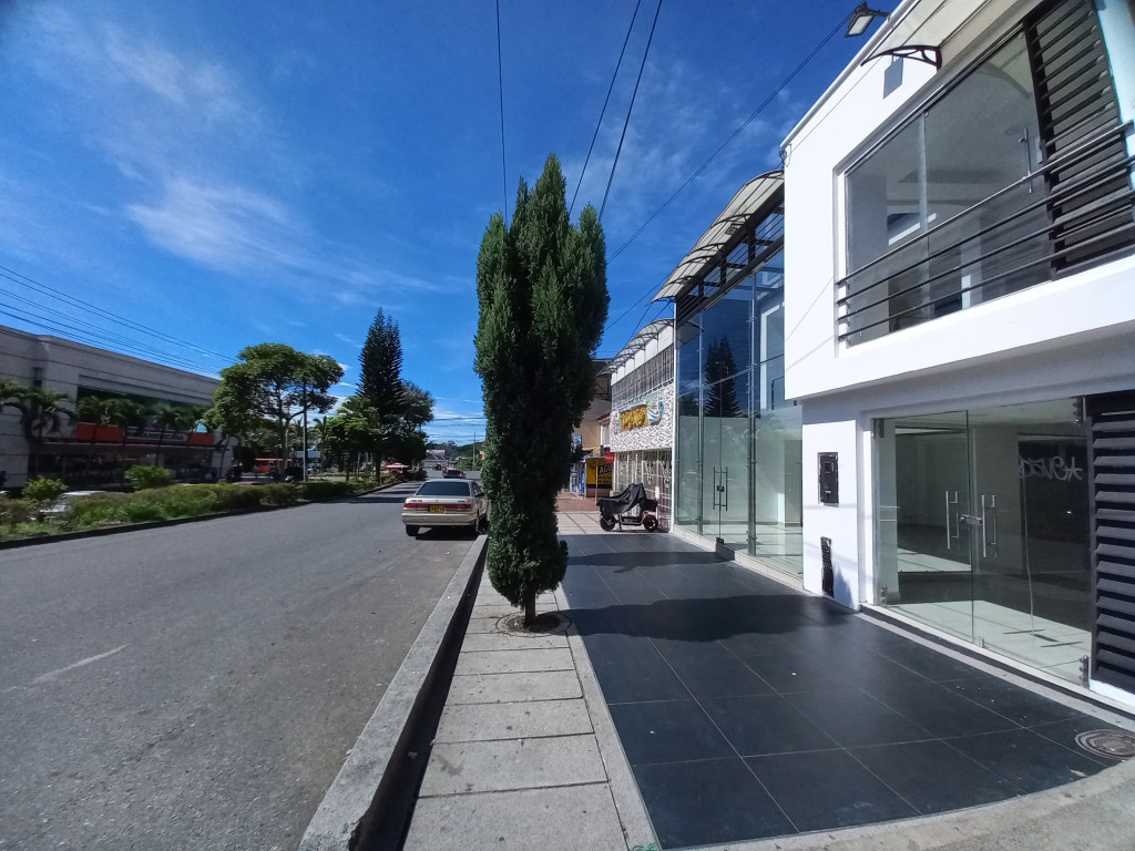 Local En Arriendo - Limonar-Calle 60 Entre 5 Y 6, Ibagué