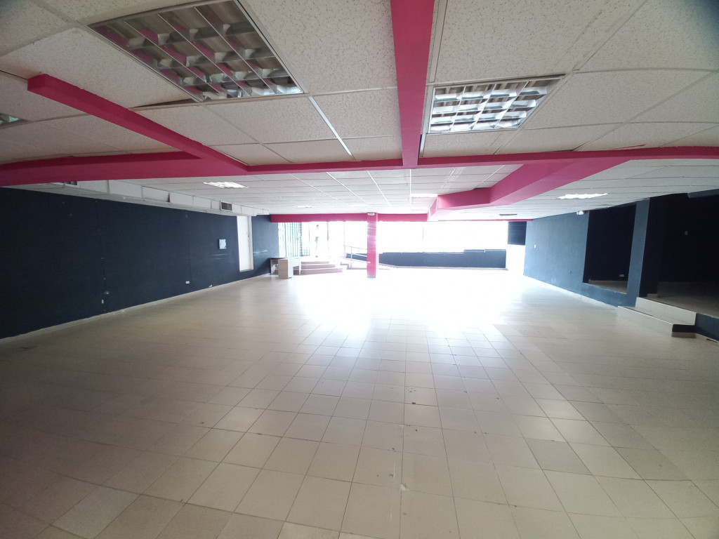 Local En Arriendo - Centro- Circulo De Ibague, Ibagué