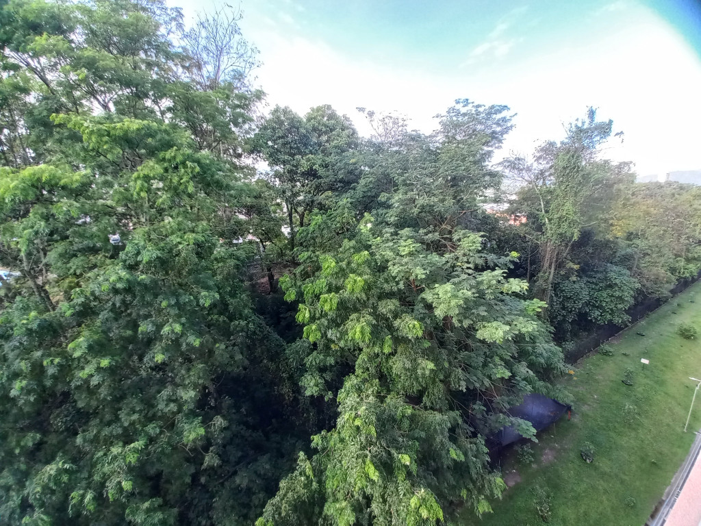 Apartamento En Arriendo - C.r Bosque De San Ángel Piso 8, Ibagué